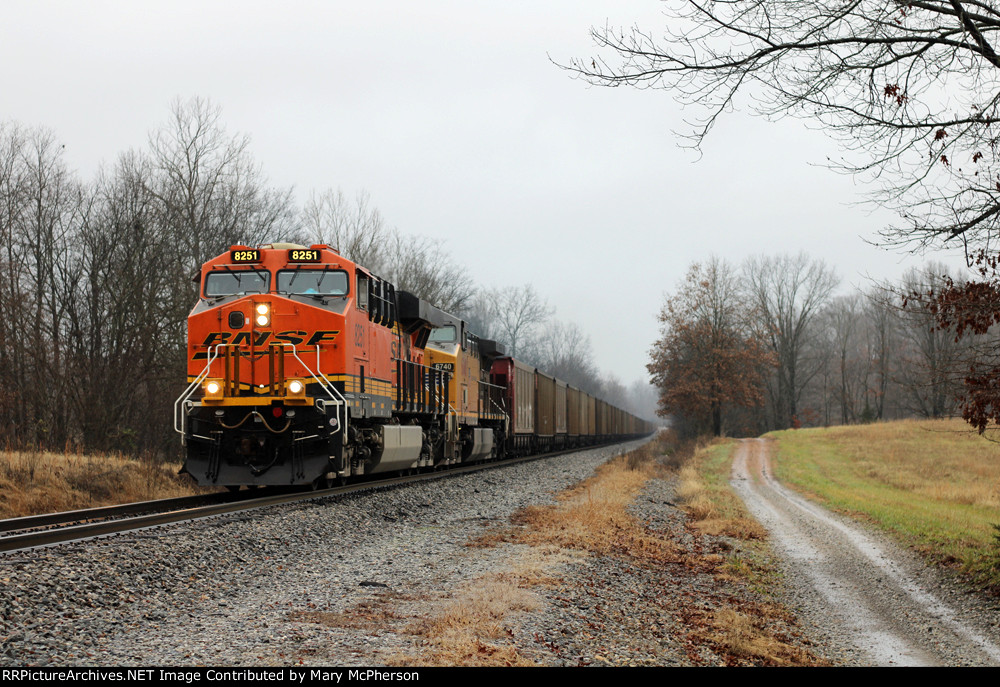 BNSF Power On Canadian National U700